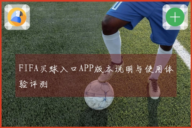 FIFA买球入口APP版本说明与使用体验评测