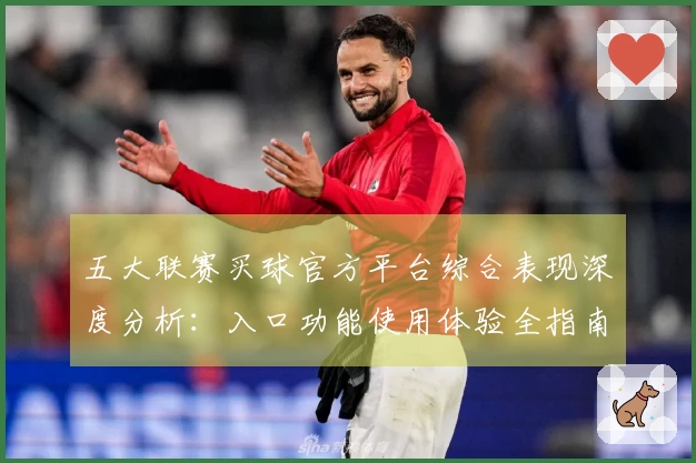 五大联赛买球官方平台综合表现深度分析：入口功能使用体验全指南