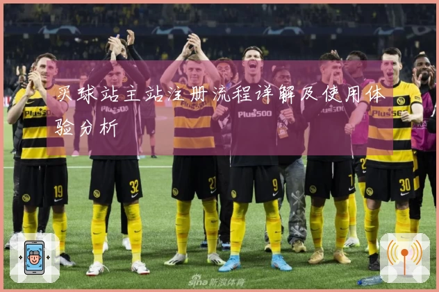 买球站主站注册流程详解及使用体验分析