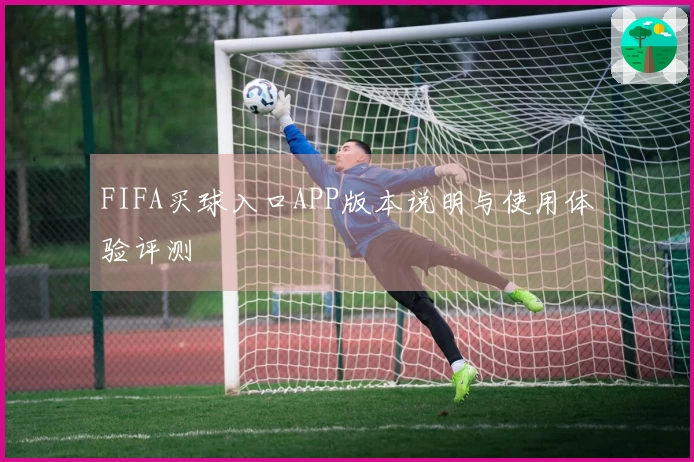 FIFA买球入口APP版本说明与使用体验评测